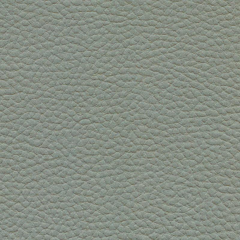 Atlantic Ash